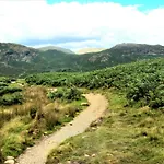 The Mews At The Coach House Pensionat 4*